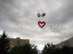 Огромное сердце - одно на двоих!